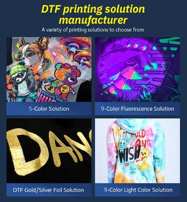 Ingani Dtf 30cm Printer With Shaker 2 Head Dtf Printer With Xp600 or I1600 Head